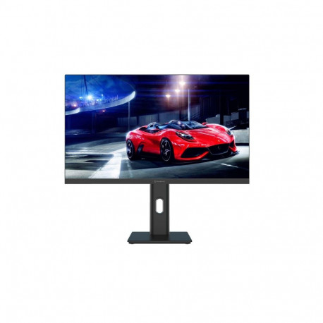 Монитор 23.8" Raskat I24F10DAP 23.8" (IPS, 1920-1080, VGA+HDMI+DP, 5ms, 178°/178°, 1000:1, 100Hz, Pivot, Black)-1
