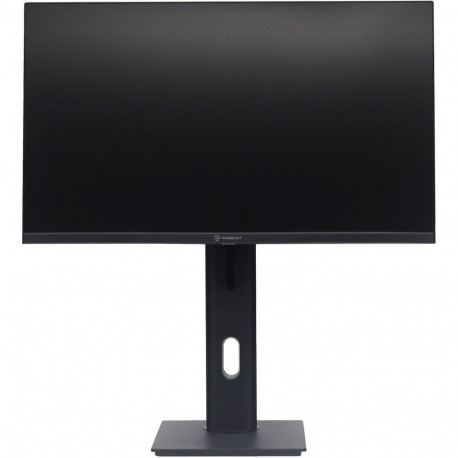 Монитор 23.8" Raskat I24F10DAP 23.8" (IPS, 1920-1080, VGA+HDMI+DP, 5ms, 178°/178°, 1000:1, 100Hz, Pivot, Black)-3