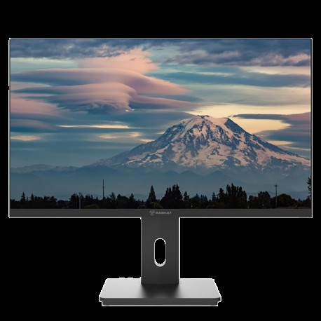 Монитор 27" Raskat I27F10DAP (27",IPS, 1920*1080, VGA+HDMI+DP, 5ms, 178°/178°, 1000:1, 100Hz, Pivot, Black )