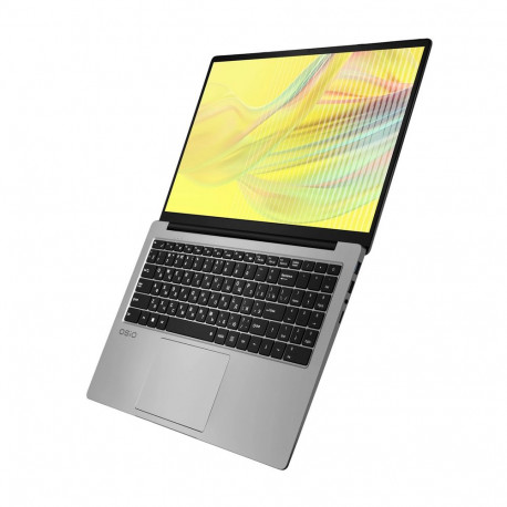 Ноутбук OSIO FocusLine F160a-004 AMD Ryzen 5 5500U/8Gb (1*8 D4)/SSD512Gb/UMA/16.1"/IPS/FHD/1920x1080/60Hz/Win11/Space Gray/1.77kg-4
