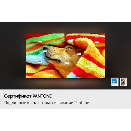 65" Телевизор OLED SAMSUNG QE65S85FAEXRU-23