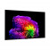 65" Телевизор OLED LG OLED65G6RLA.ARUG (2026)