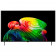 48" Телевизор OLED LG OLED48B6RLA.ARUG (2026)