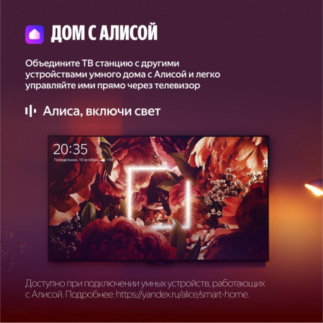 65" Телевизор LED Яндекс ТВ Станция Бейсик (YNDX-00077)-6
