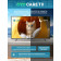 43" Телевизор Q-LED Skyworth 43Q66H