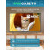 65" Телевизор Q-LED Skyworth 65Q66H
