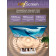 100" Телевизор Q-LED Skyworth 100Q79H