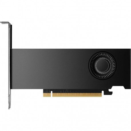 Видеокарта NVIDIA RTX 2000 ADA Graphics Cards, 16GB GDDR6 (ATX inst, LP incl), bulk-2