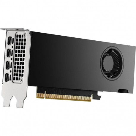 Видеокарта NVIDIA RTX 2000 ADA Graphics Cards, 16GB GDDR6 (ATX inst, LP incl), bulk-1